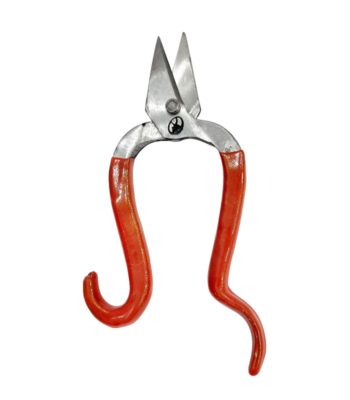 قیچی-تبریزی