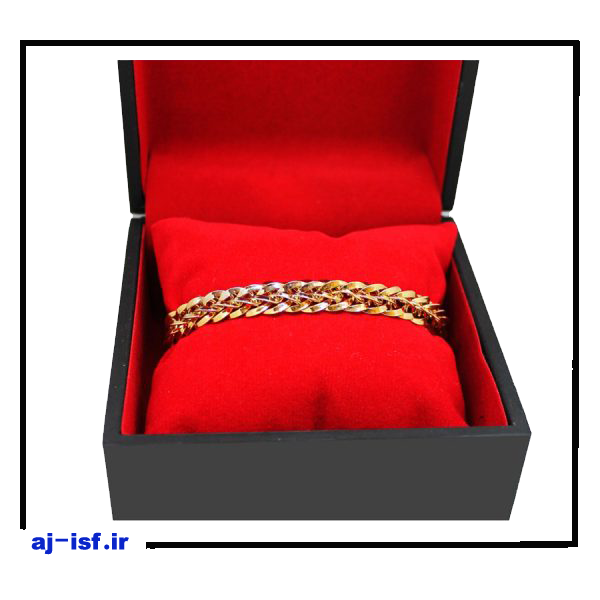 IMG_20240130_004216_695-600x600 copy 2